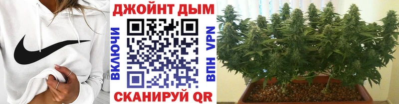 Как найти наркотики Грайворон Марихуана  Cocaine  Мефедрон 