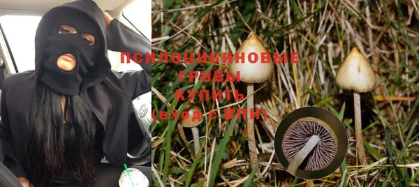 MESCALINE Надым