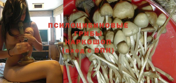 MESCALINE Надым