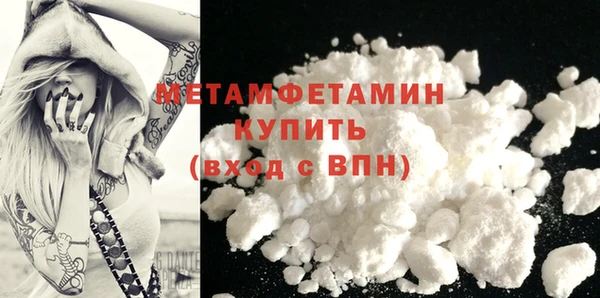 индика Долгопрудный