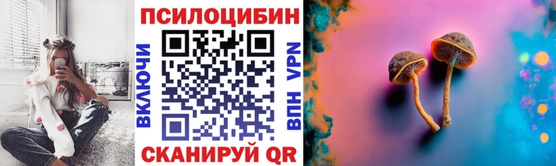 Галлюциногенные грибы Psilocybe  где найти наркотики  Грайворон 